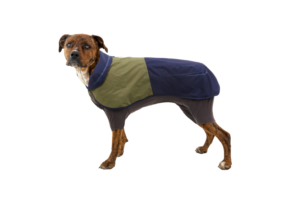 Sun Shower™ Coverall Dog Rain Suit product image