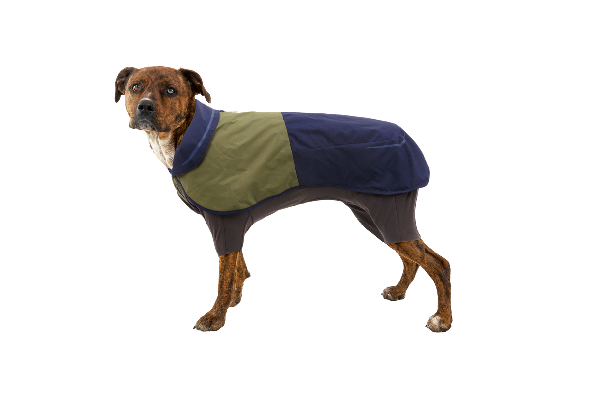 Sun Shower™ Coverall Dog Rain Suit product image