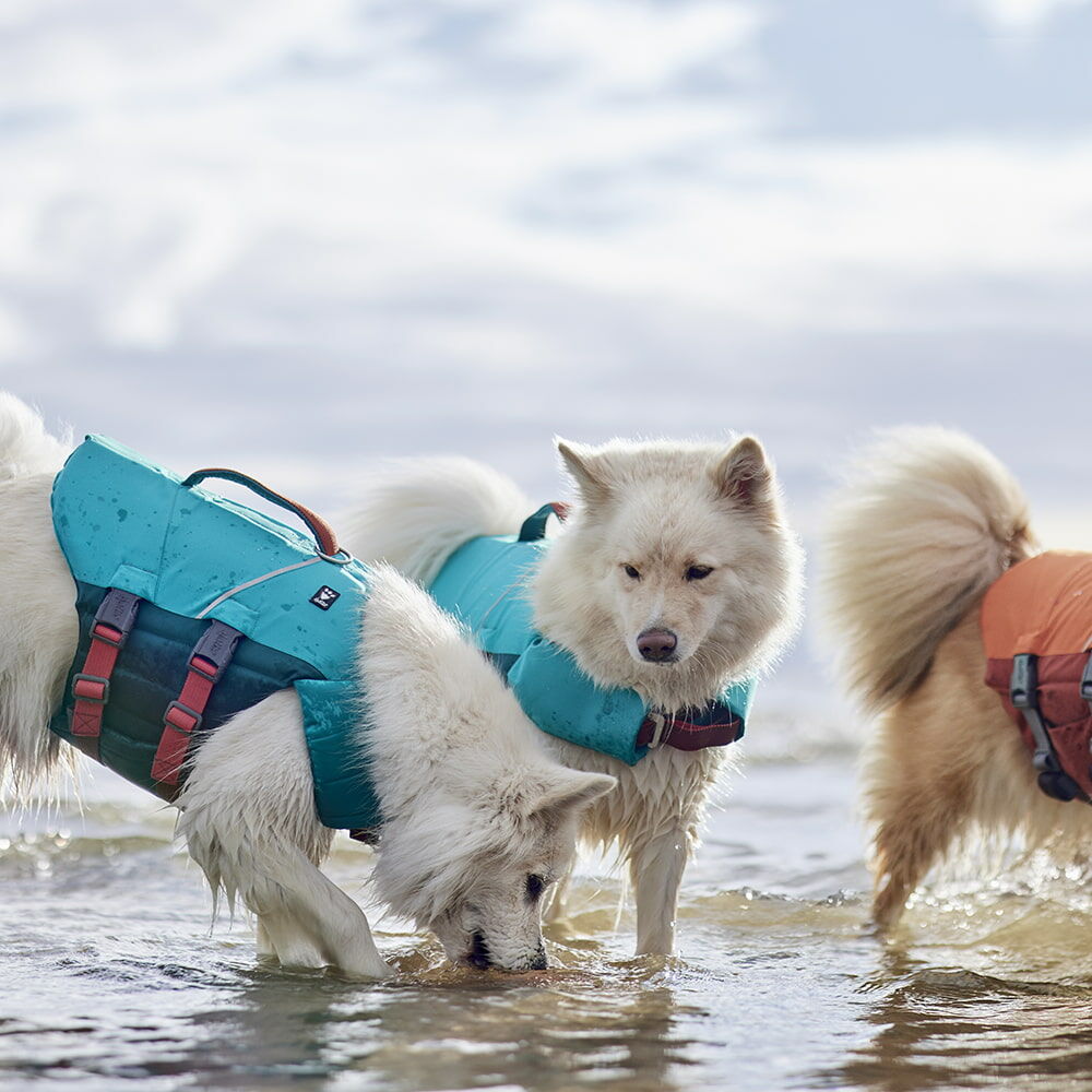 Life Savior ECO Life Vest product image