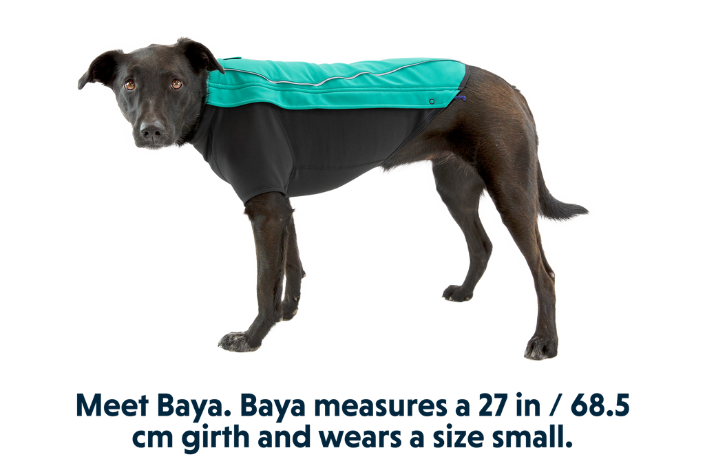 Cloud Chaser™ Dog Jacket product image