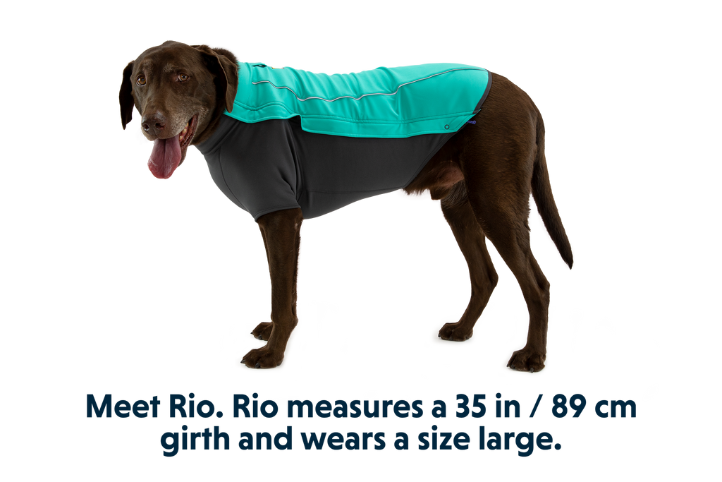 Cloud Chaser™ Dog Jacket product image