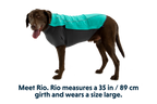 Cloud Chaser™ Dog Jacket product image