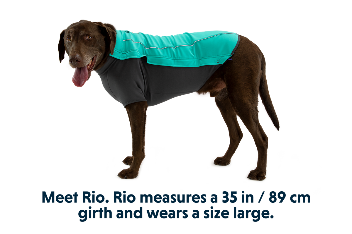 Cloud Chaser™ Dog Jacket product image