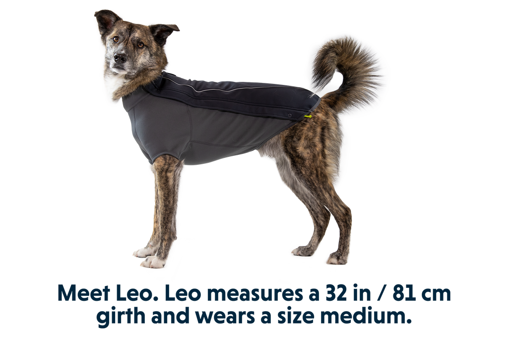 Cloud Chaser™ Dog Jacket product image