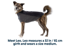 Cloud Chaser™ Dog Jacket product image