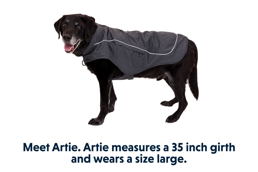 Overcoat Fuse™ Dog Vest product image