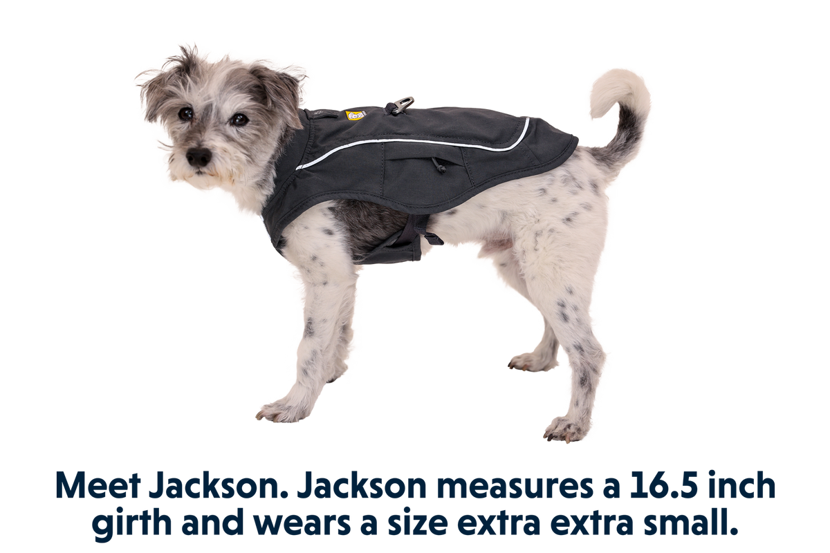Overcoat Fuse™ Dog Vest product image