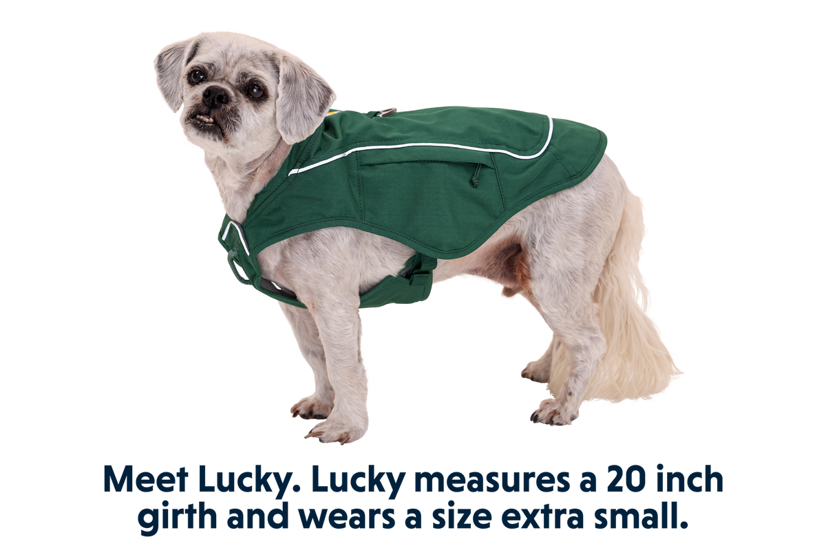 Overcoat Fuse™ Dog Vest product image