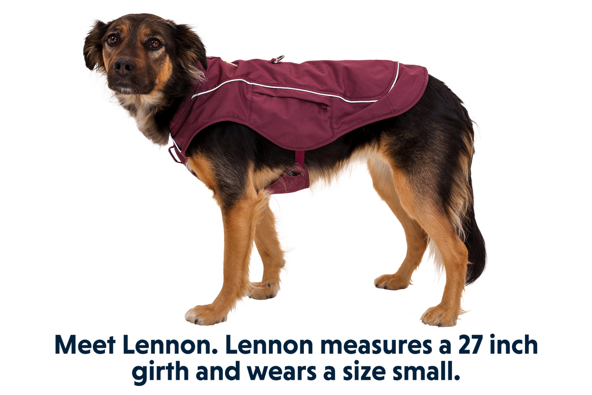Overcoat Fuse™ Dog Vest product image