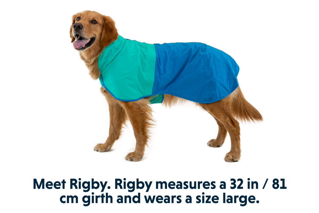 Sun Shower™ Dog Raincoat product image