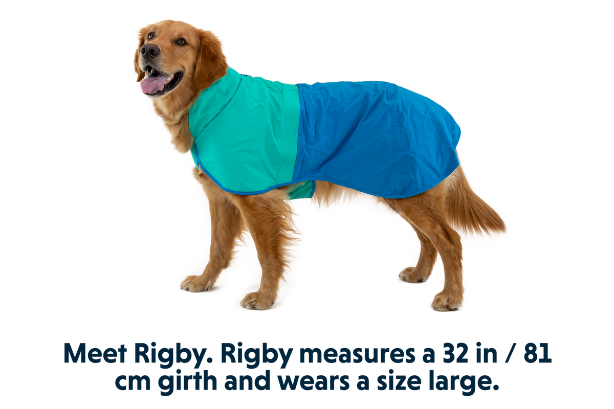 Sun Shower™ Dog Raincoat product image