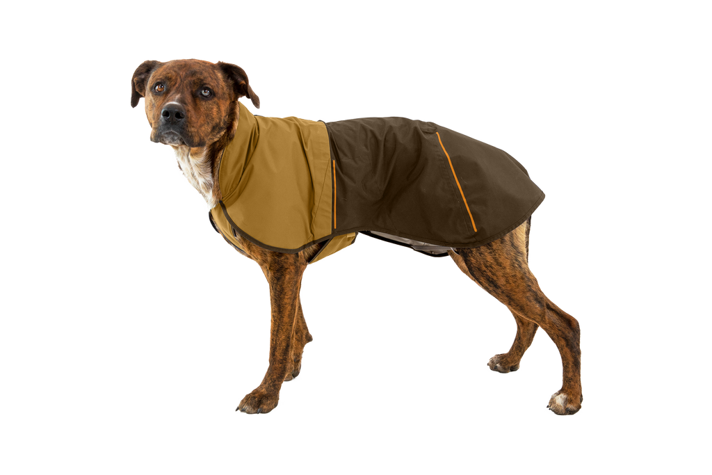 Sun Shower™ Dog Raincoat product image
