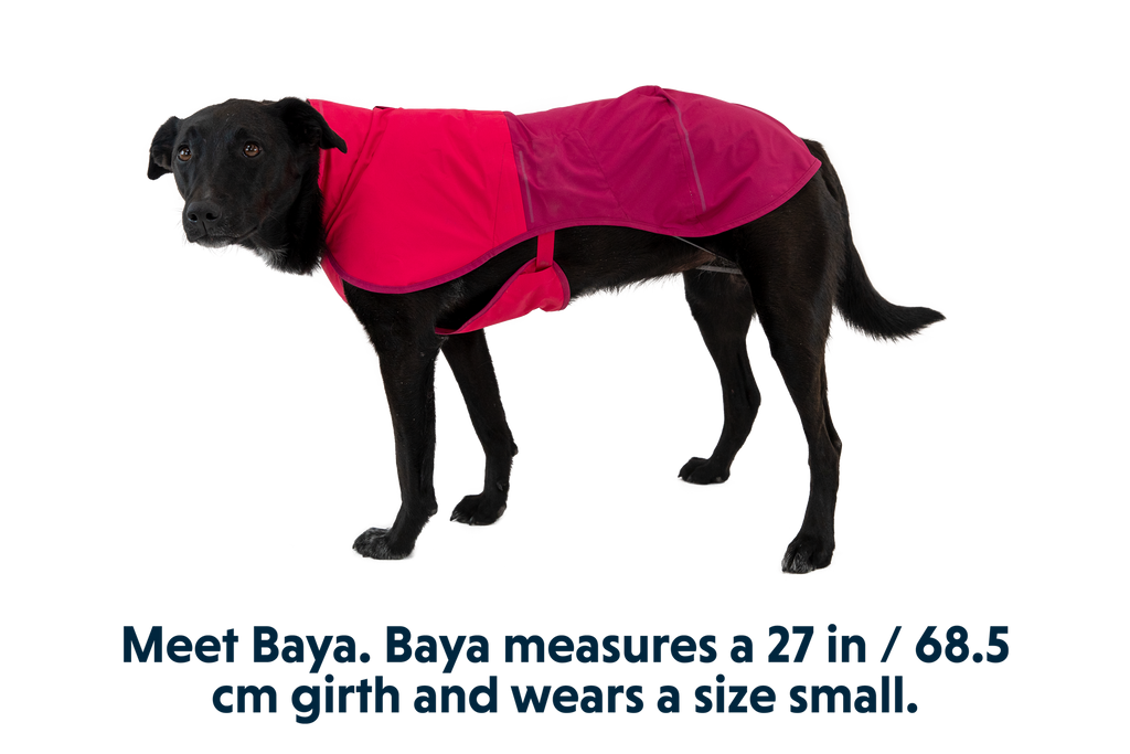 Sun Shower™ Dog Raincoat product image