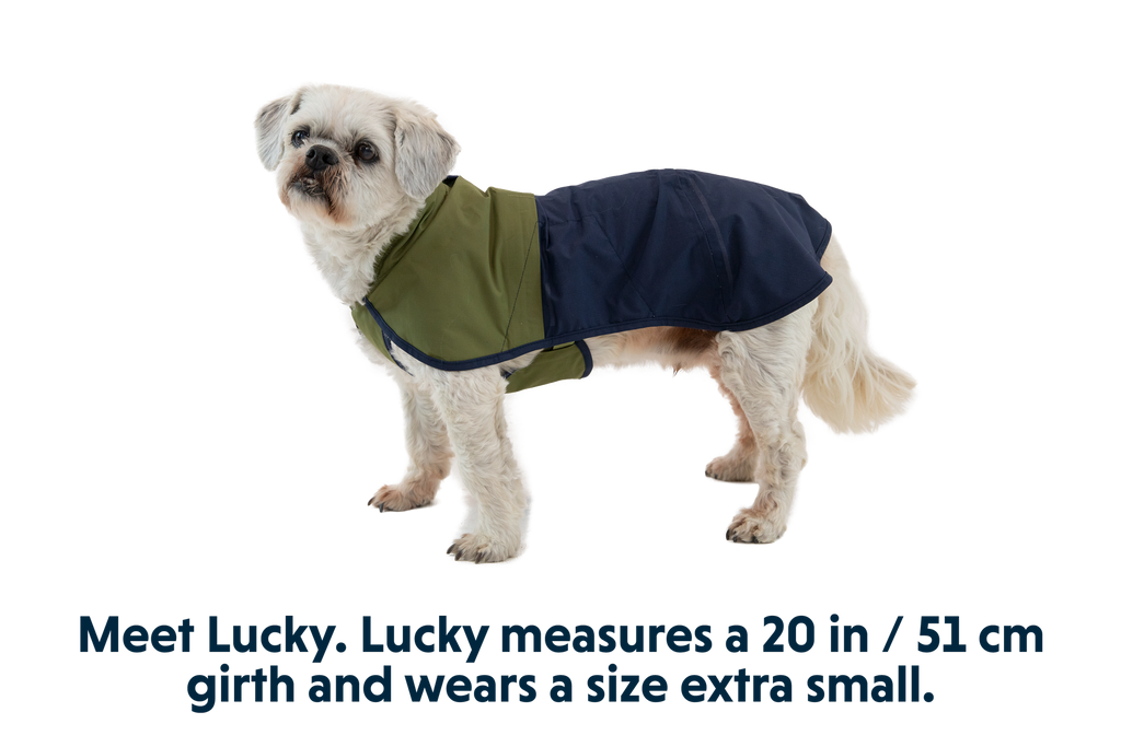 Sun Shower™ Dog Raincoat product image