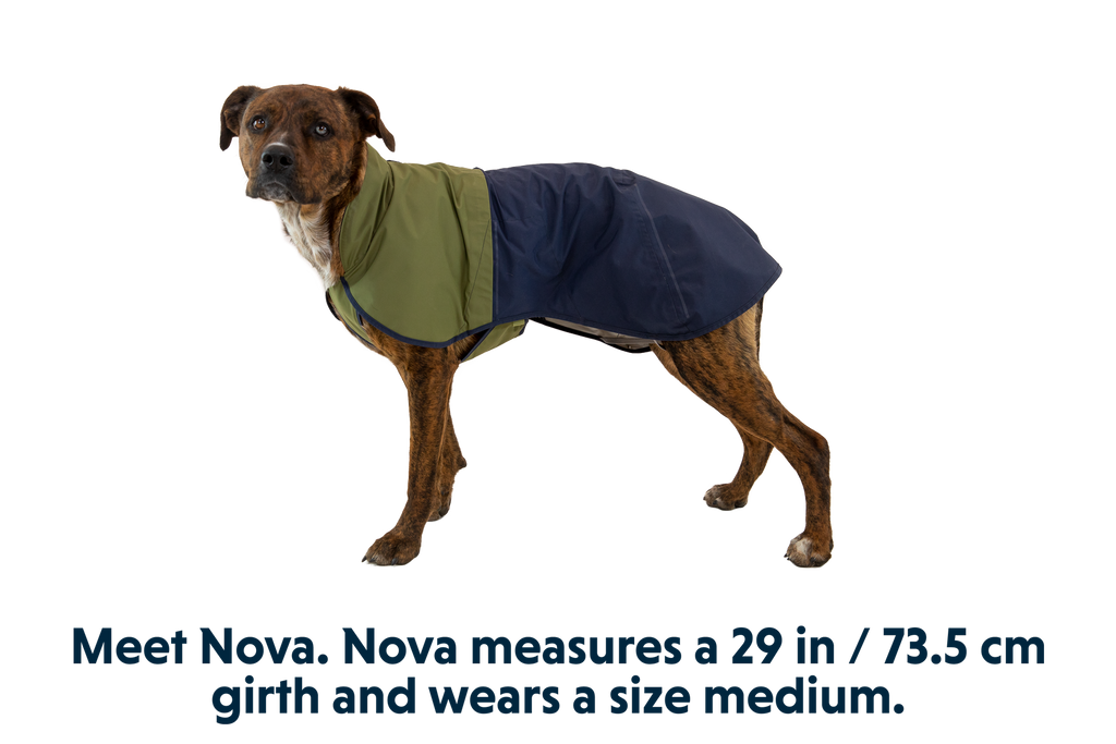 Sun Shower™ Dog Raincoat product image
