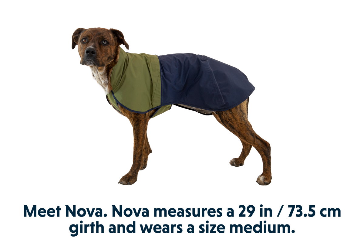 Sun Shower™ Dog Raincoat product image