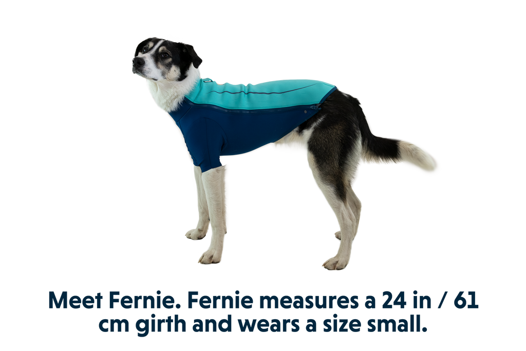 Undercoat™ Dog Water Jacket product image