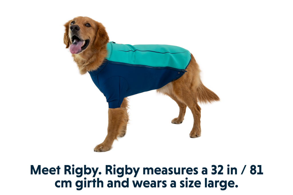 Undercoat™ Dog Water Jacket product image