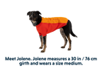 Undercoat™ Dog Water Jacket product image