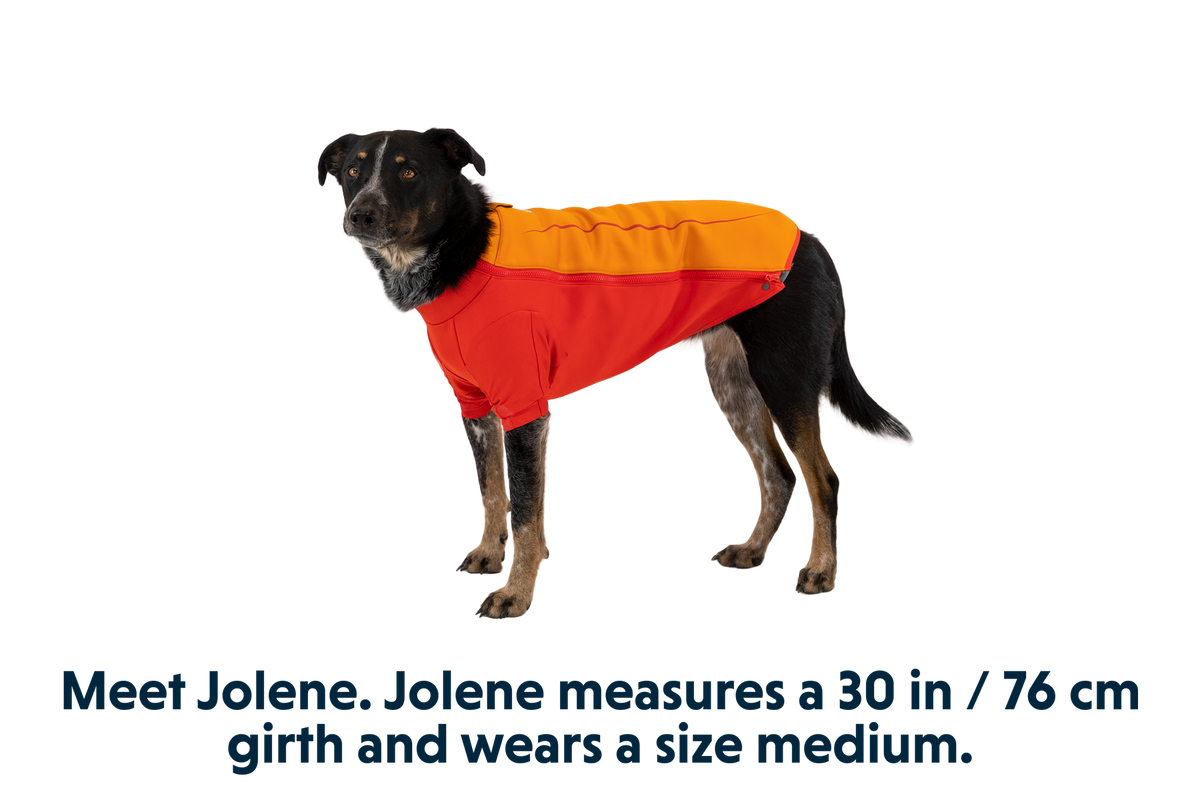 Undercoat™ Dog Water Jacket product image