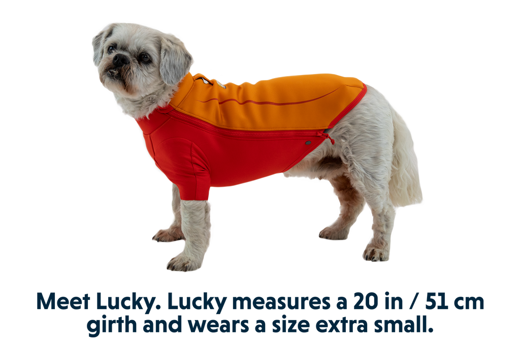 Undercoat™ Dog Water Jacket product image