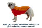 Undercoat™ Dog Water Jacket product image