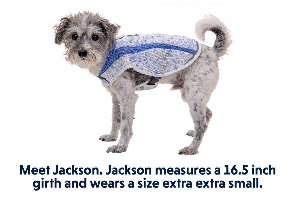 Swamp Cooler™ Cooling Dog Vest product image