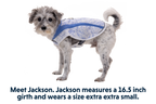 Swamp Cooler™ Cooling Dog Vest product image
