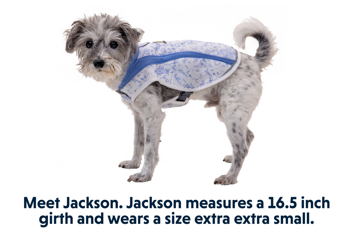 Swamp Cooler™ Cooling Dog Vest product image