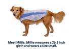 Swamp Cooler™ Cooling Dog Vest product image