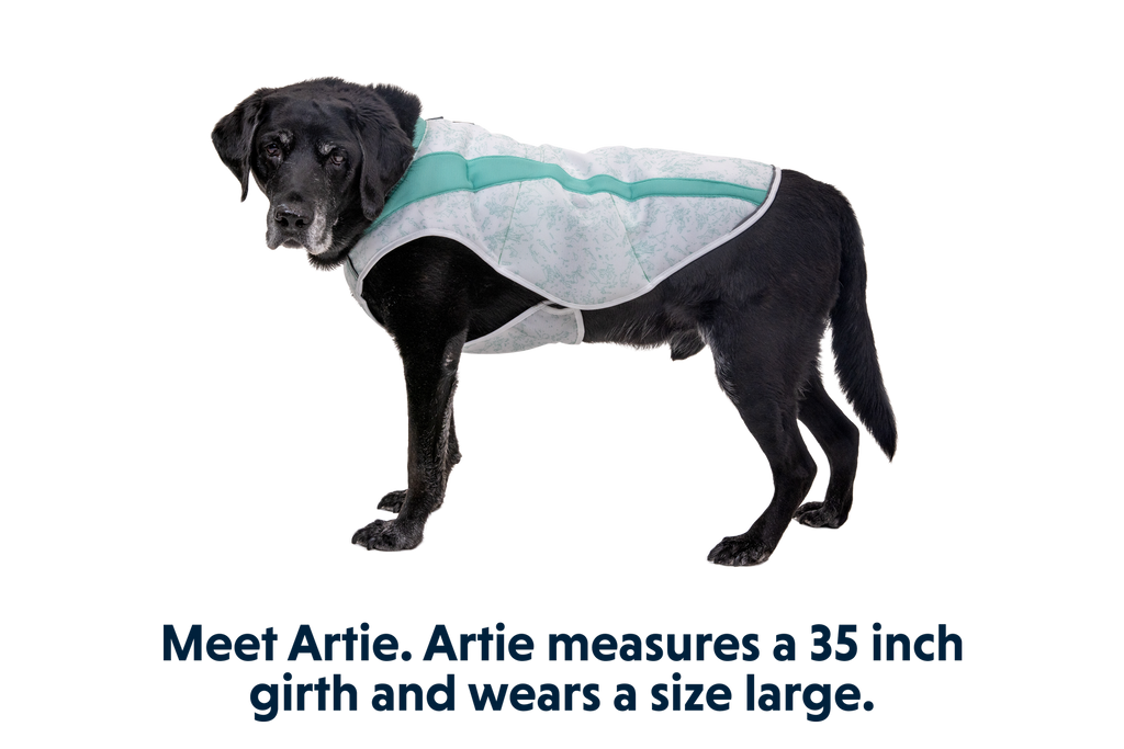 Swamp Cooler™ Cooling Dog Vest product image