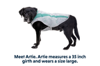 Swamp Cooler™ Cooling Dog Vest product image