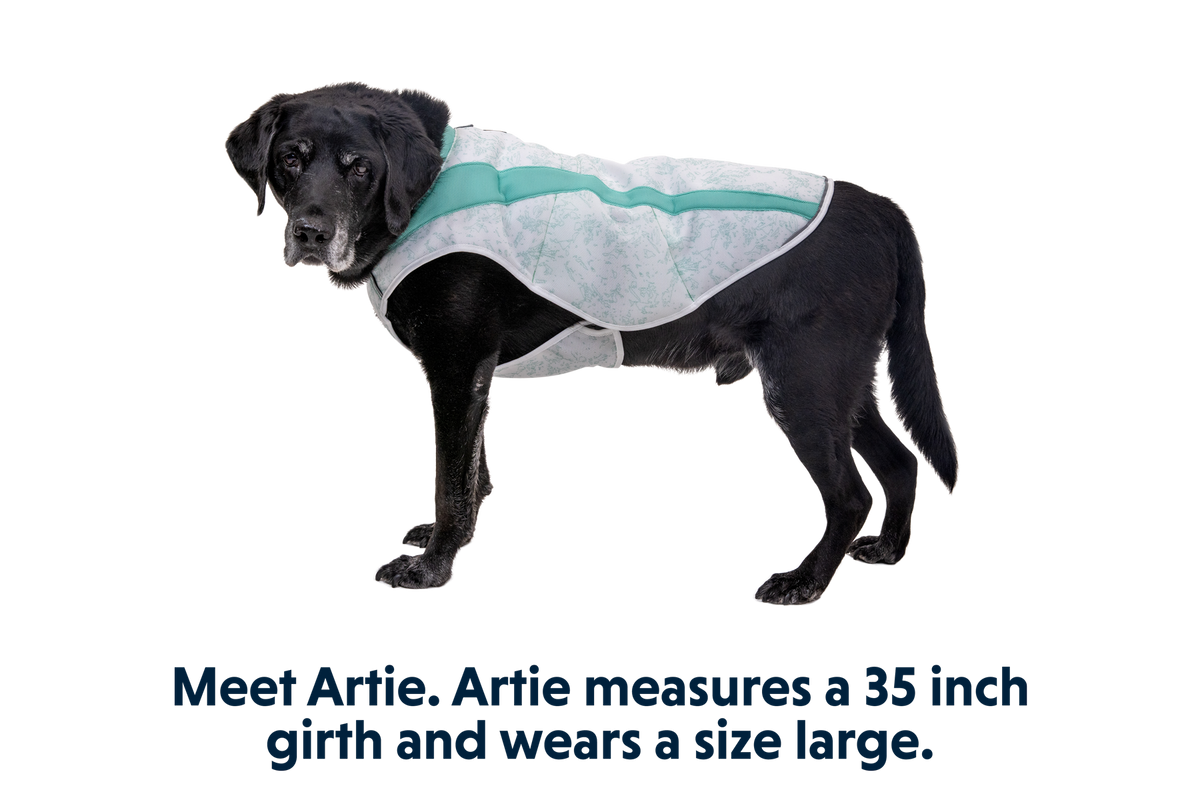 Swamp Cooler™ Cooling Dog Vest product image