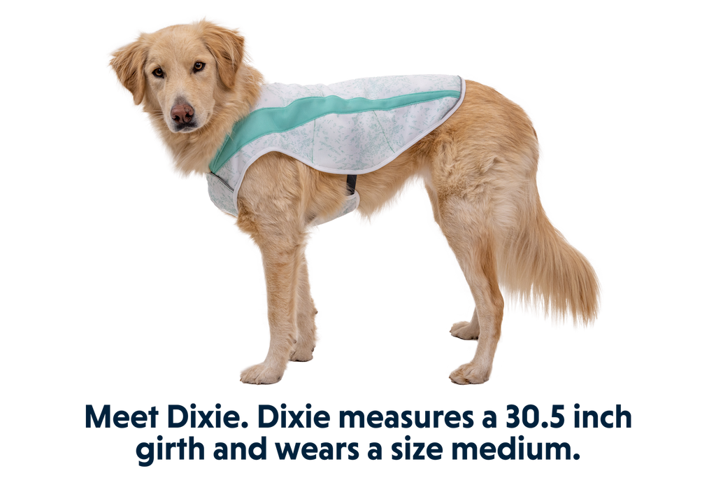 Swamp Cooler™ Cooling Dog Vest product image