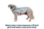 Swamp Cooler™ Cooling Dog Vest product image