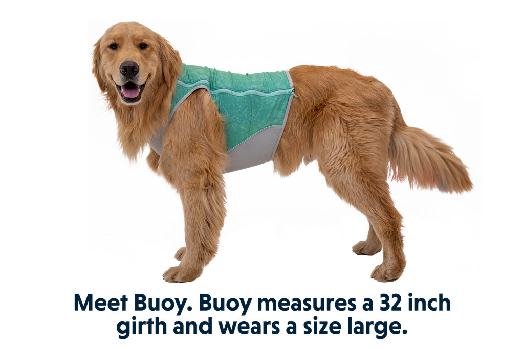 Swamp Cooler Zip™ product image