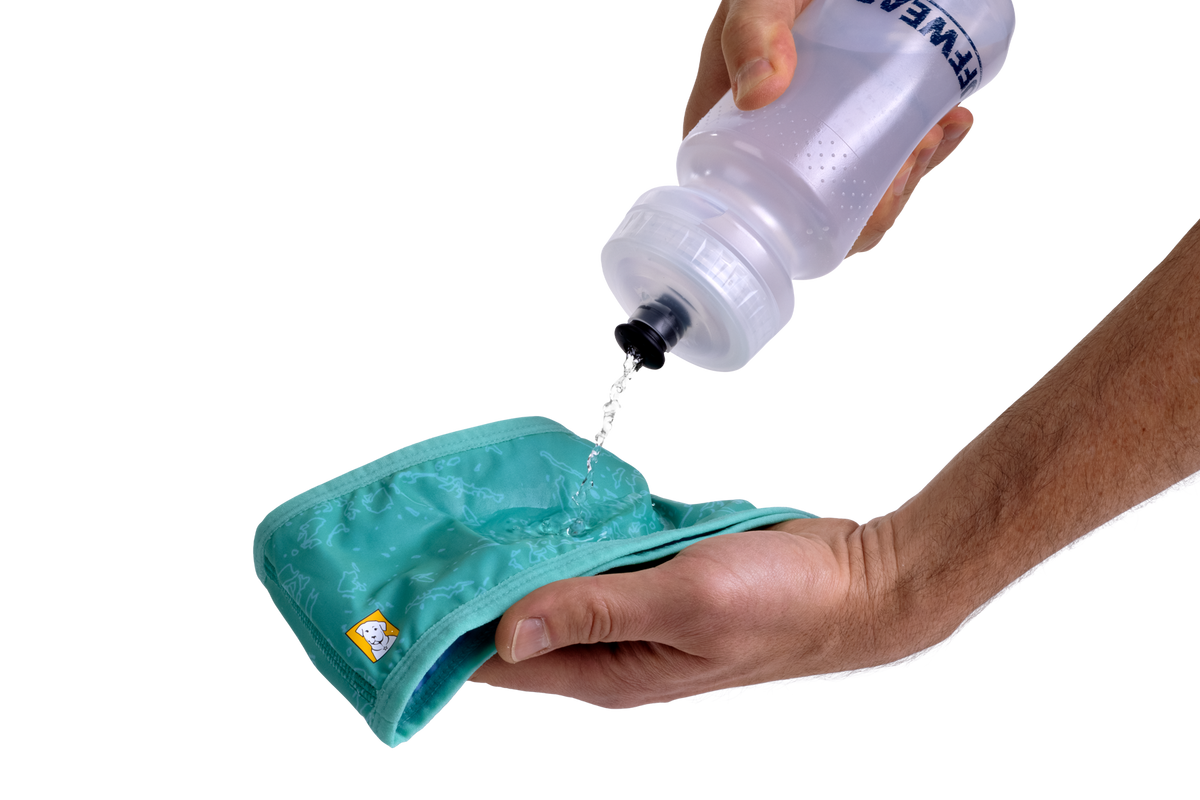 Swamp Cooler™ Neck Gaiter product image