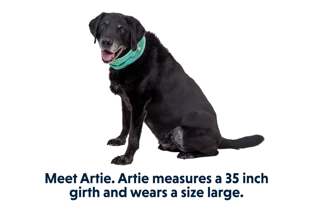 Swamp Cooler™ Neck Gaiter product image