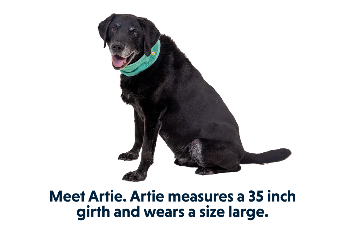 Swamp Cooler™ Neck Gaiter product image