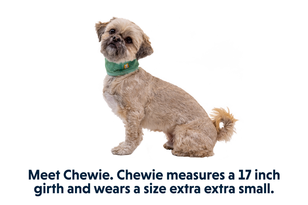 Swamp Cooler™ Neck Gaiter product image