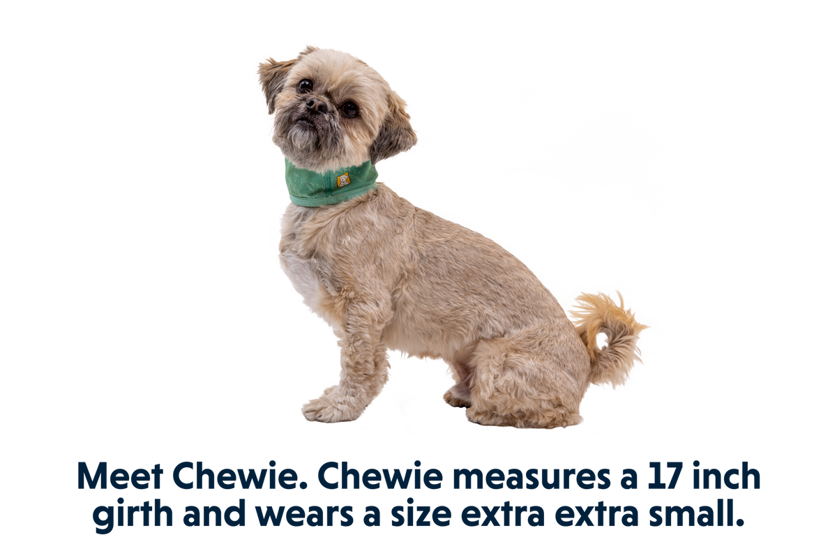 Swamp Cooler™ Neck Gaiter product image