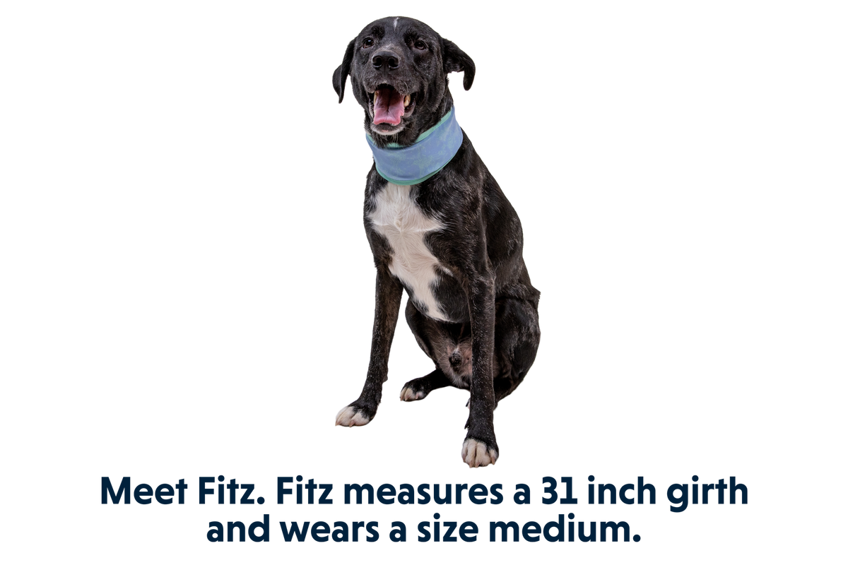 Swamp Cooler™ Neck Gaiter product image