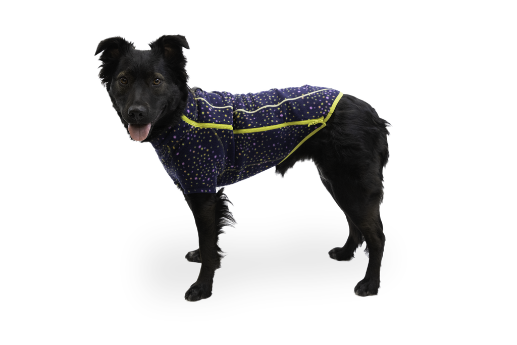 Climate Changer™ Dog Fleece product image