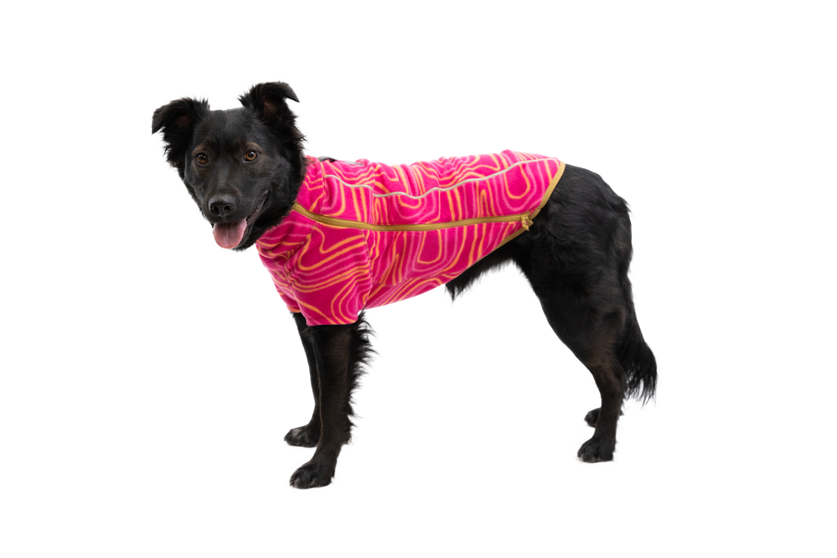 Climate Changer™ Dog Fleece product image