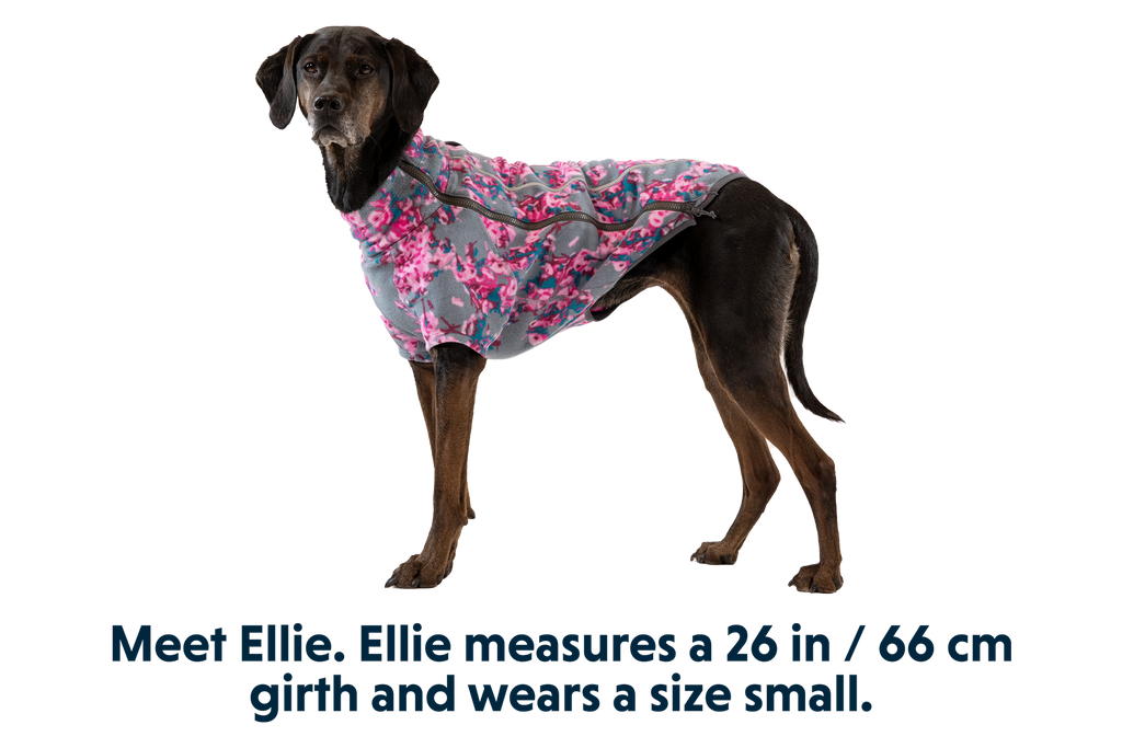 Climate Changer™ Dog Fleece product image