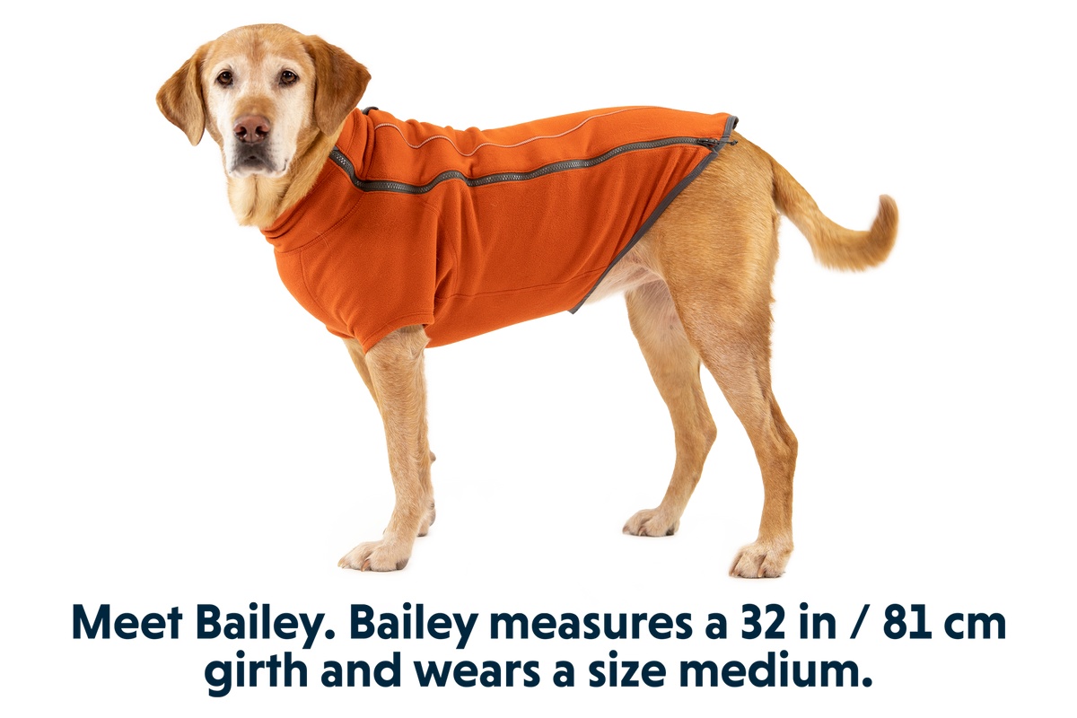 Climate Changer™ Dog Fleece product image