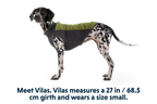 Climate Changer™ Dog Fleece Pullover product image