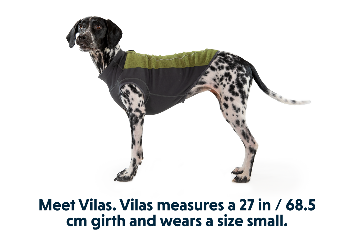 Climate Changer™ Dog Fleece Pullover product image
