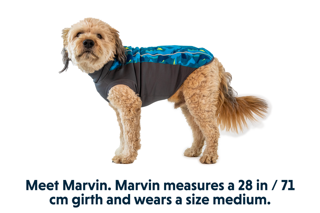 Climate Changer™ Dog Fleece Pullover product image