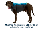 Climate Changer™ Dog Fleece Pullover product image